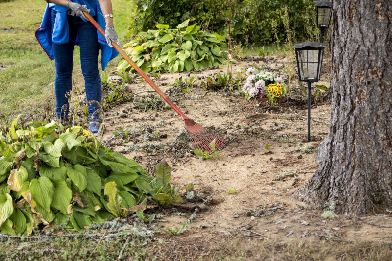 Brush Clearing Service in Katy, TX
