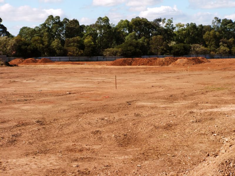 Completed Ground Clearing