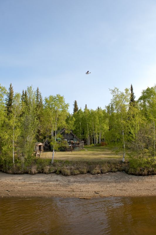 Lakefront Property Clearing in Utah County, UT