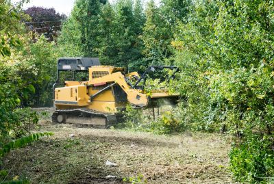 Site Clearing Service in Utah County, UT