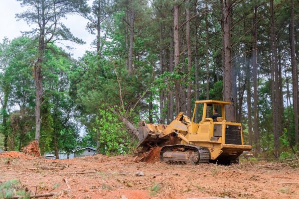 Lot Clearing - Lot Clearing Clarksville, Tennessee