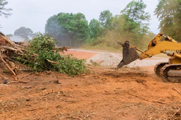 Bulldozer Land Excavation